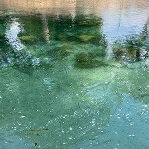 Meet your Posher, Kenya